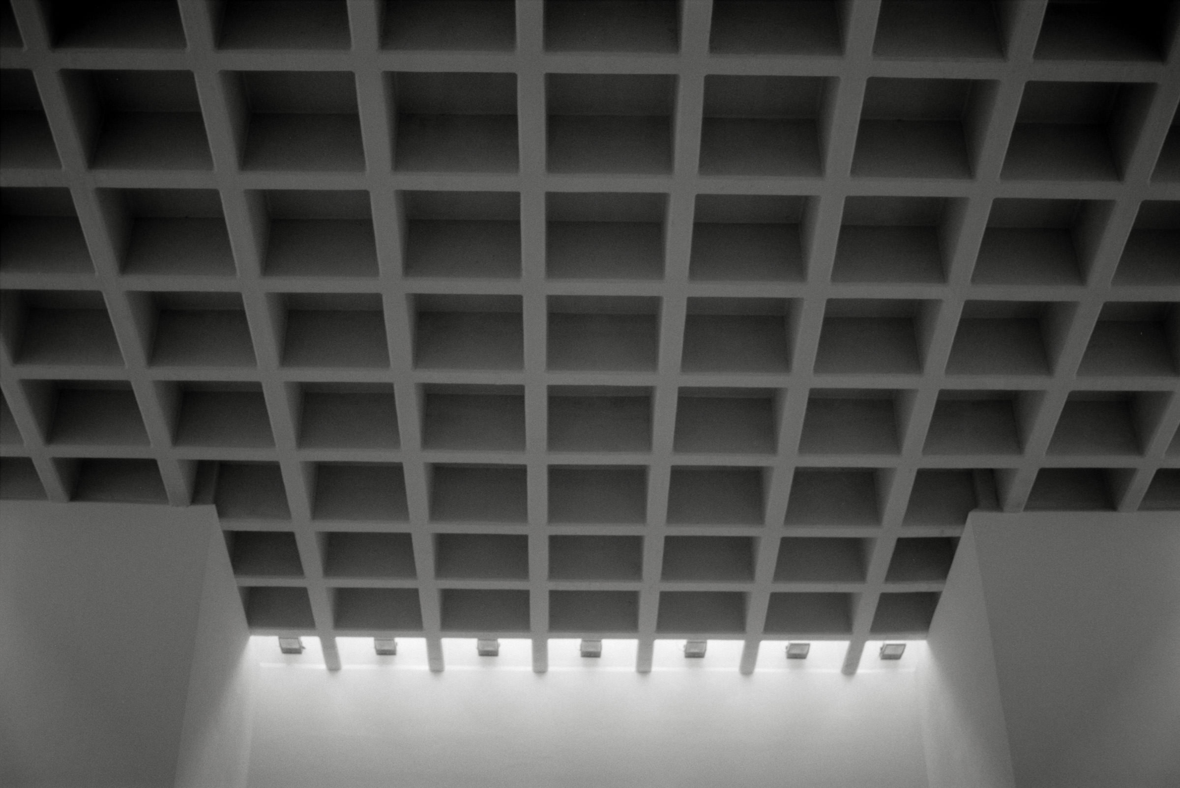 AHP F1995 05 008 sc240826 img03 NLP